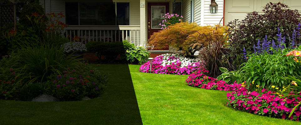 Elkhorn Landscapers