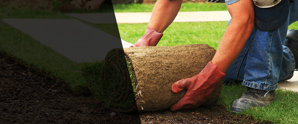 Elkhorn Landscapers